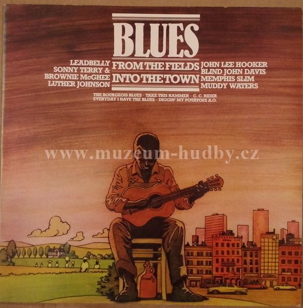 John Lee Hooker / Muddy Waters / Sonny Terry & Brownie McGhee / ...