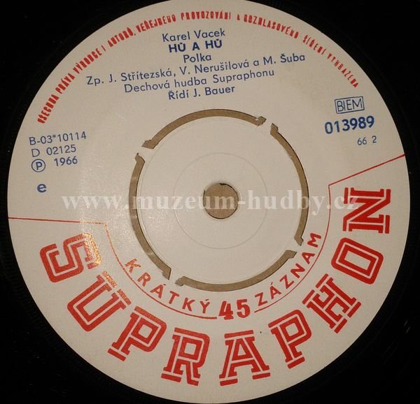 J. Stritezska / V. Nerusilova / M. Suba / Prazske divci trio