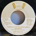 Judy Bailey-There's A Lot Of Good About Goodbye / Comfort