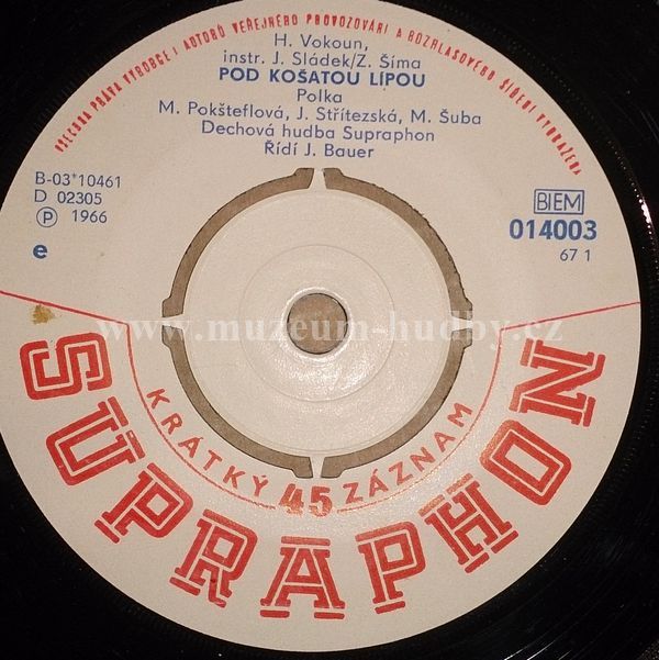 M. Poksteflova, J. Stritezska, M. Suba,