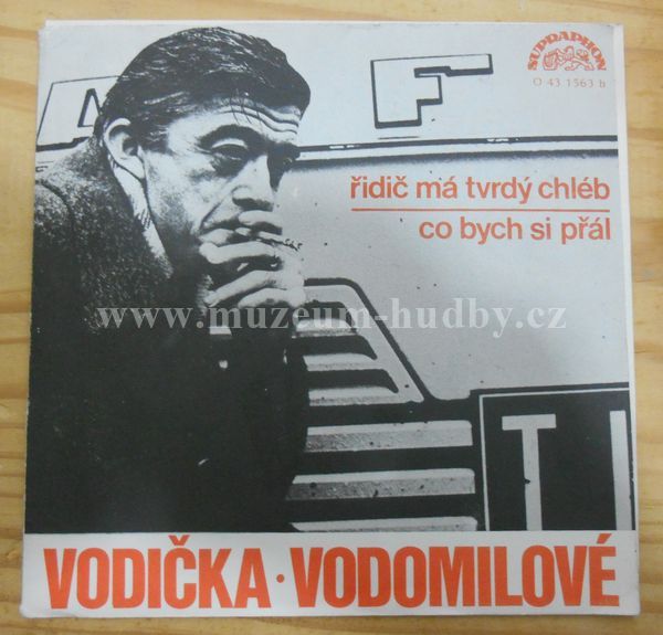 Vodomilové, Ladislav Vodička