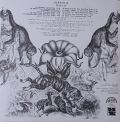 Barnodaj-Mauglí