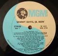 Sammy Davis, Jr.-Now
