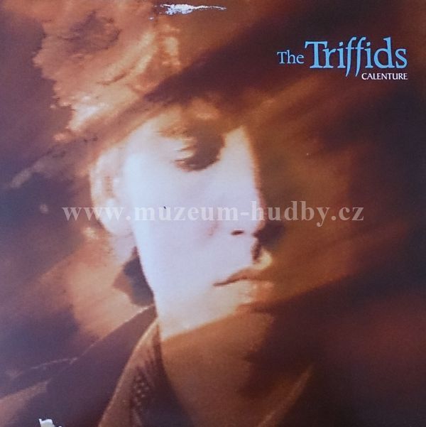 The Triffids