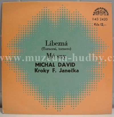 Michal David, Kroky F. Janečka