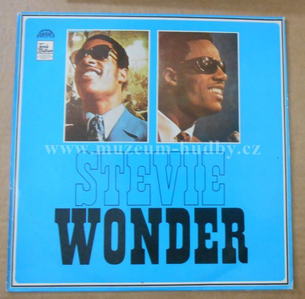 Stevie Wonder