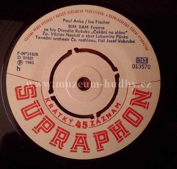 Václav Neckář / Helena Vondráčková