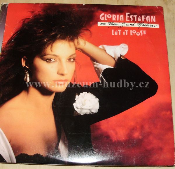 Gloria Estefan And Miami Sound Machine