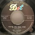 Billy Vaughn And His Orchestra-Chop Sticks / You're The Only Star (In My Blue Heaven)