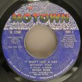 Diana Ross-Touch Me In The Morning / I Won't Last A Day Without You