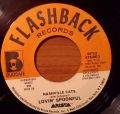 Lovin' Spoonful-Did You Ever Have To Make Up Your Mind / Nashville Cats