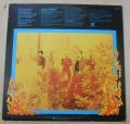 Meters-Fire On The Bayou