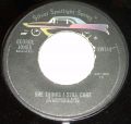 George Jones-The race is on / She thinks i still care