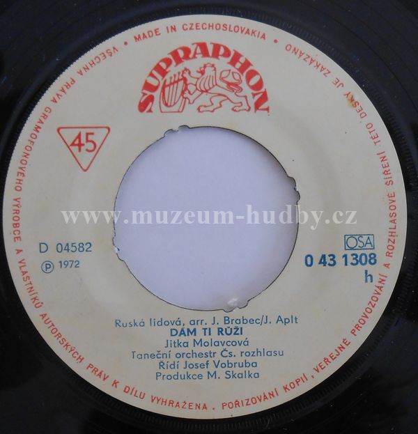 Jitka Molavcová a Jezinky