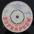 Karel Kahovec/Country Beat Jiřího Brabce-To se budem prima mít/Háj modřínů