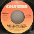 Larry Gatlin & The Gatlin Brothers-Take Me To Your Lovin' Place / Straight To My Heart