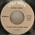 Peter Nero-Love Theme From 