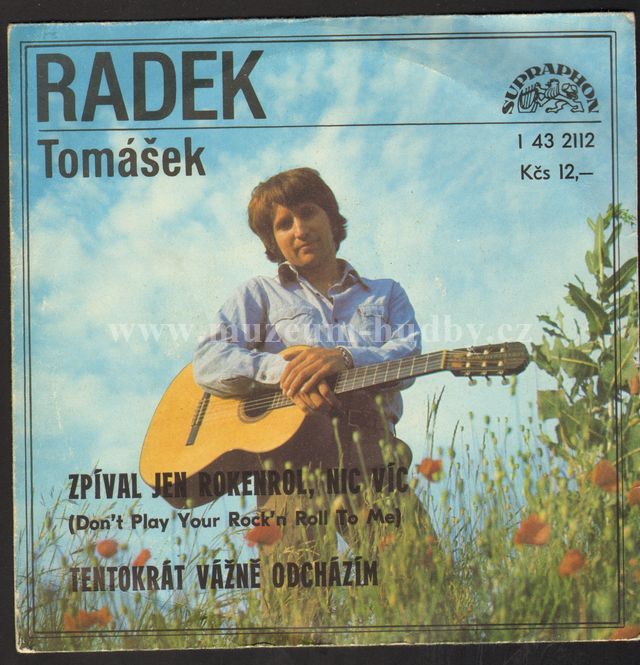 Radek Tomášek / Bezinky