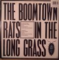 The Boomtown Rats ‎-In The Long Grass