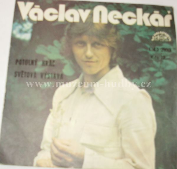 Václav Neckář + Bacily