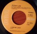 Dickey Lee-I Saw My Lady / What We Used To Hang On To (Is Gone)