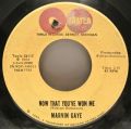 Marvin Gaye-Pretty Little Baby / Now That You've Won Me