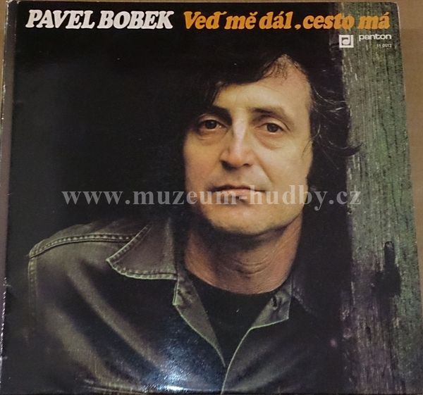 Pavel Bobek