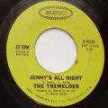 The Tremeloes