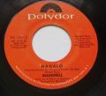 Mandrill-Fencewalk / Hagalo