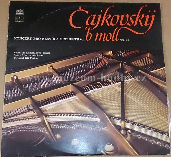 Petr Iljič Čajkovskij