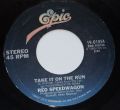REO Speedwagon-Take It On The Run / Someone Tonight