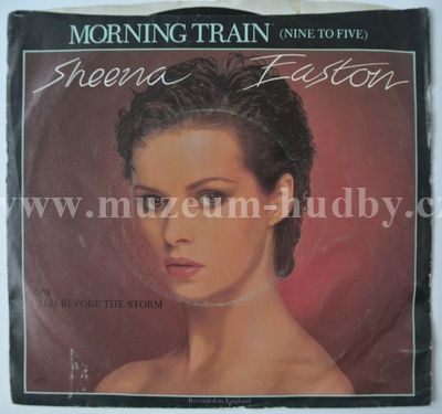 Sheena Easton