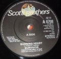 Survivor-Burning Heart