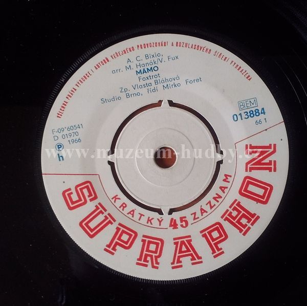 Vlasta Bláhová / Pavel Novák