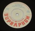Fausto Leali Se Svými Novelty-Please Please Me / Lei Ti Ama