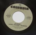 Journey-Lovin', Touchin', Squeezin' / Any Way You Want It