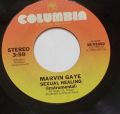 Marvin Gaye-Sexual Healing / (Instrumental)