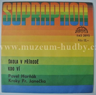 Pavel Horňák, Kroky Františka Janečka