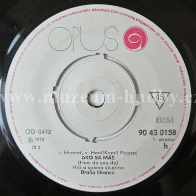 Skupina Braňa Hronca