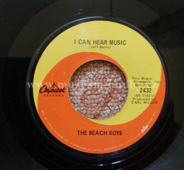 The Beach Boys