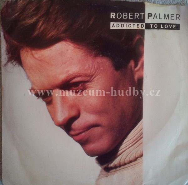 Robert Palmer