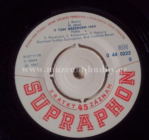 E. Bauerová / Z. Kohoutová / M. Pokšteflová