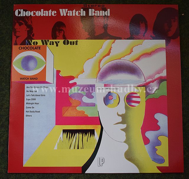 Chocolate Watch Band