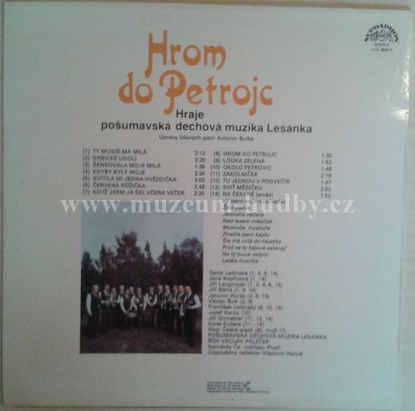 Pošumavská dechová muzikaa Lesanka