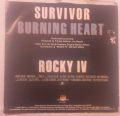 Survivor-Burning Heart