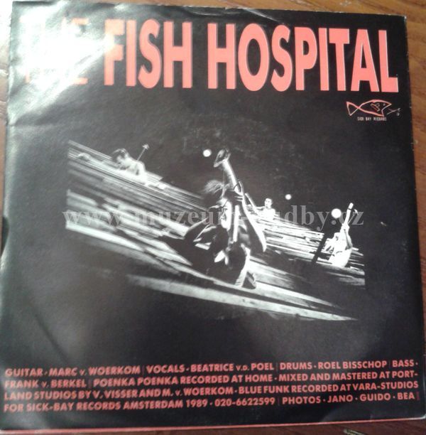 The Fish Hospital