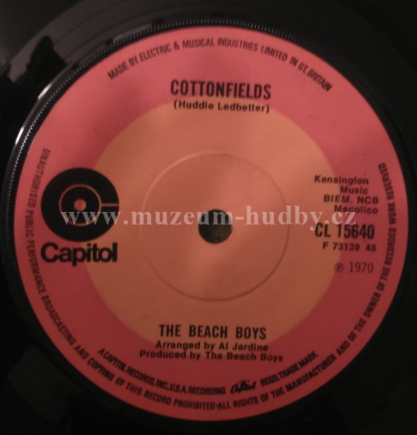 The Beach Boys