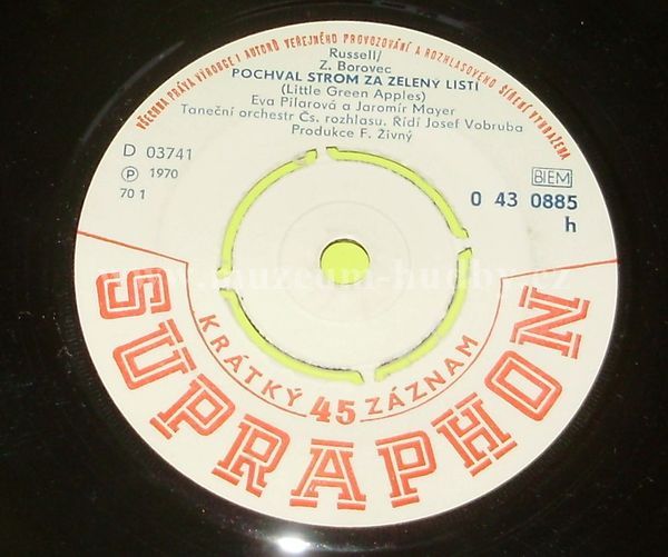 Eva Pilarová a Jaromír Mayer