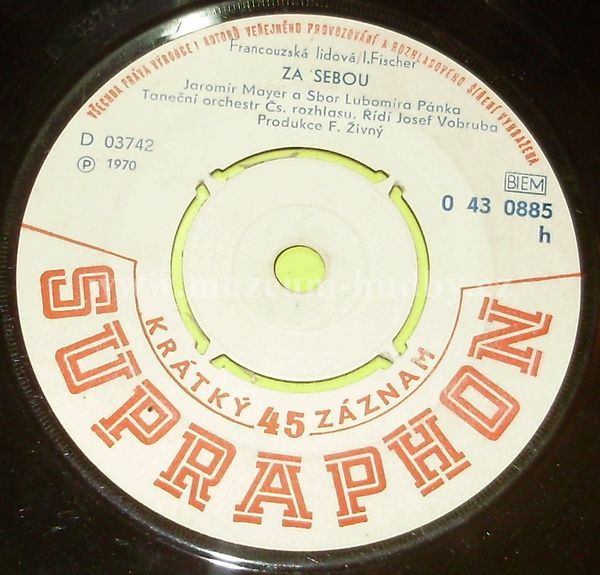 Eva Pilarová a Jaromír Mayer