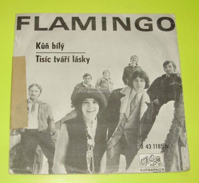 Flamingo / Marie Rottrová